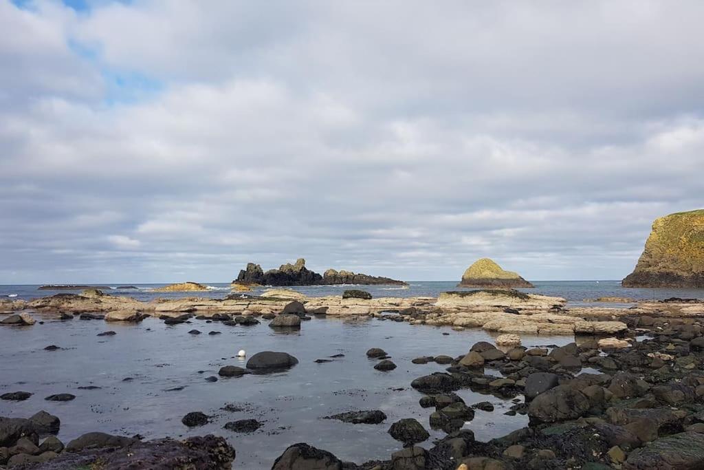 Mcconaghys Glenside Farmhouse Whitepark Bay 발린토이 외부 사진